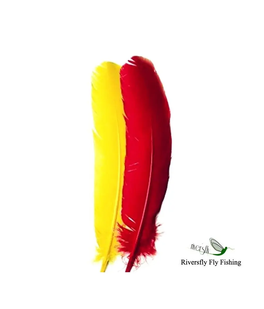 Plume d'Ail de Dinde Plume d'Ail de Dinde