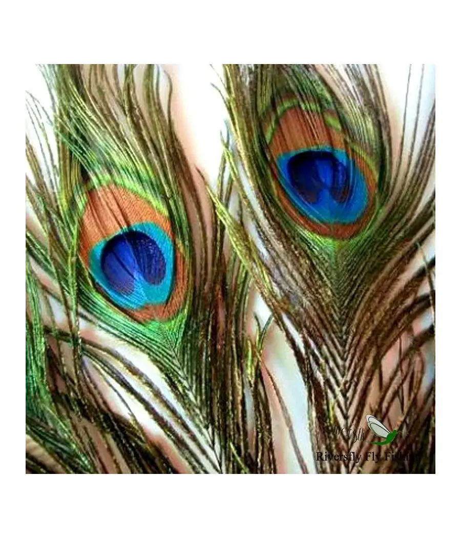 Peacock Eye Top
