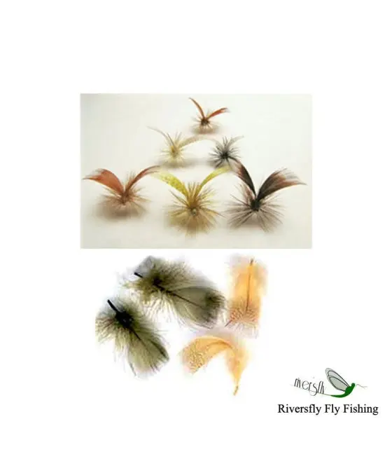 Mallard Duck Drake Round Breast