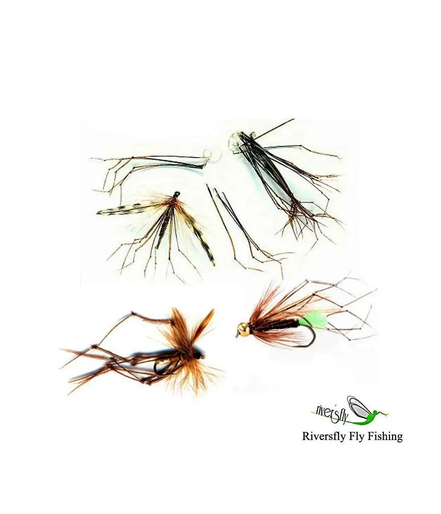 Daddy Legs