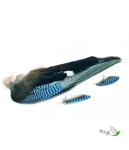 $productcomments_product->name