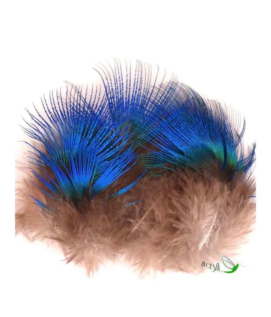Peacock Blue Neck