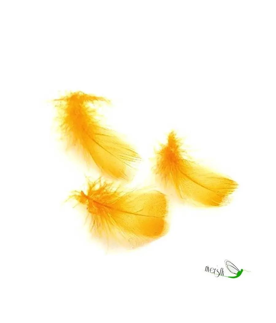 Toucan (substitut de plume de toucan) Veniard