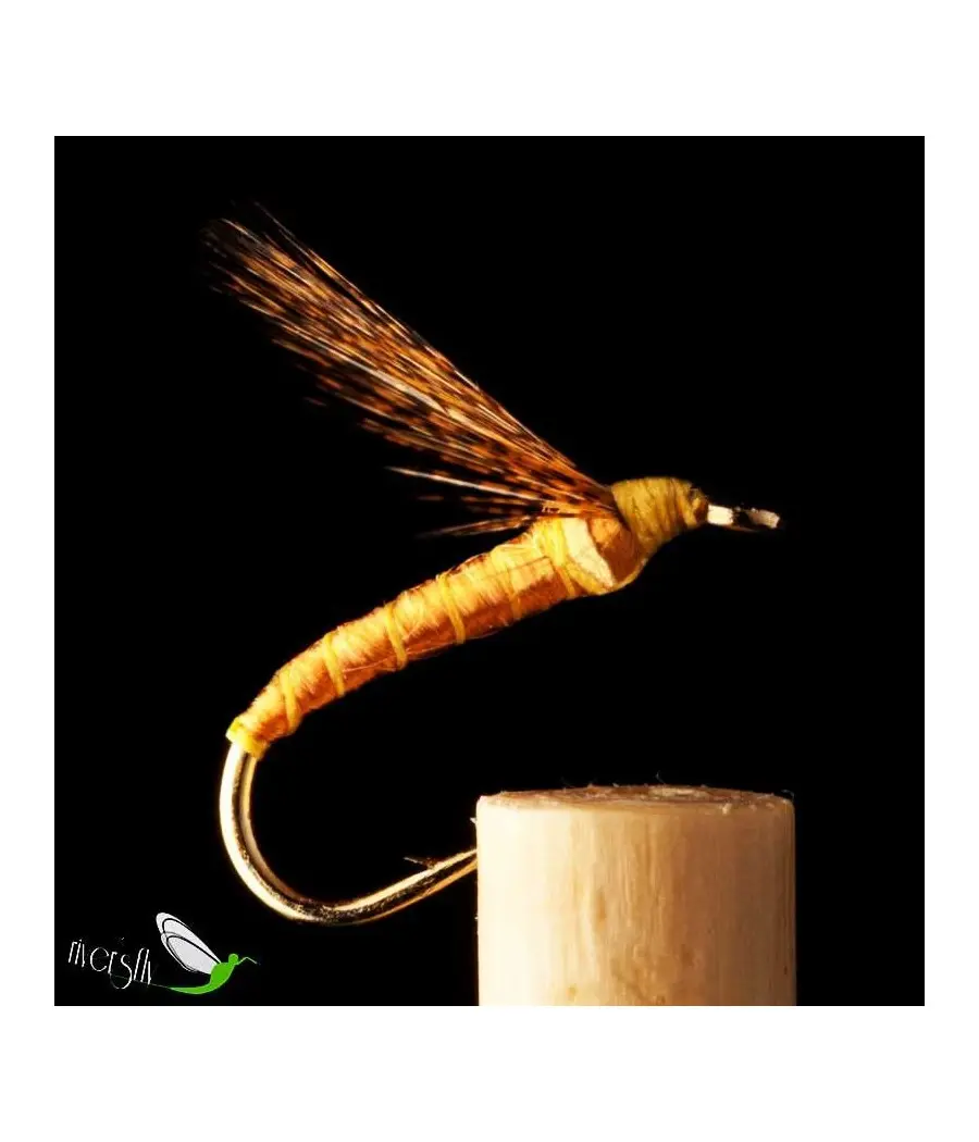 Pardón Wet Fly