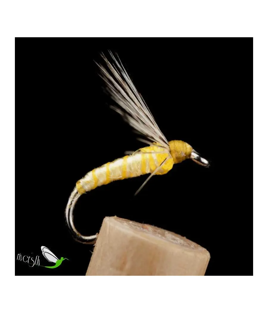 Mouche Noyée Puceron Jaune Citron