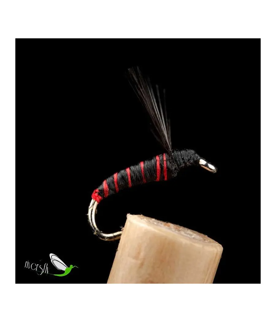 Mouche Noyée Puceron Fourmi Commune