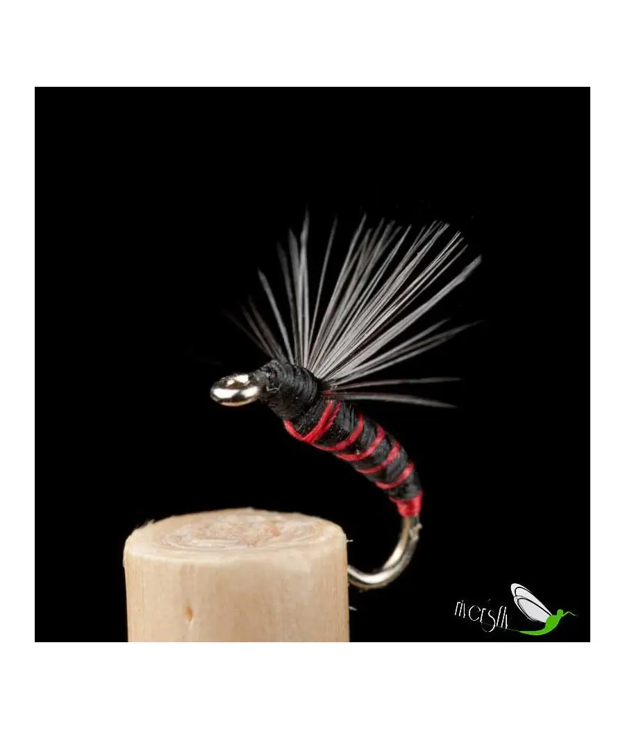 Mosca Ahogada Pulgón Hormiga Común