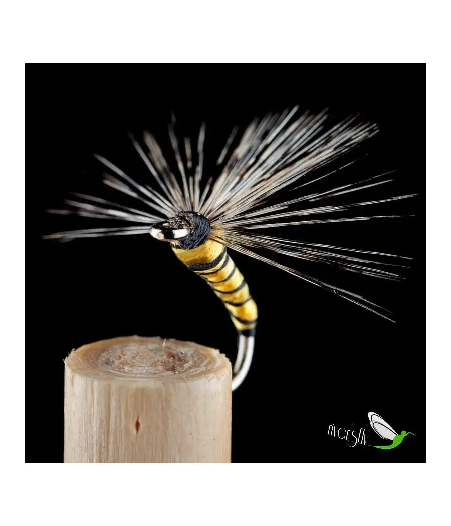 Mosca Ahogada Avispa