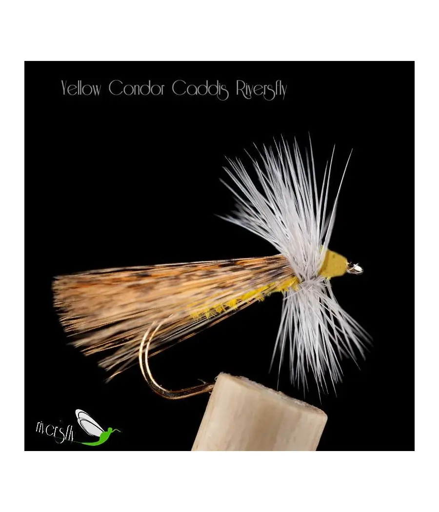 Seddge Condor Yellow