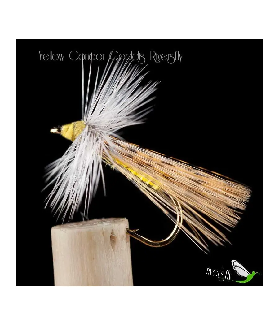 Seddge Condor Yellow