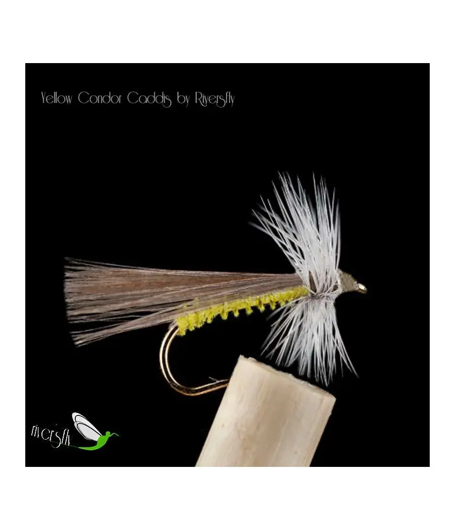 Seddge Condor Yellow Indio