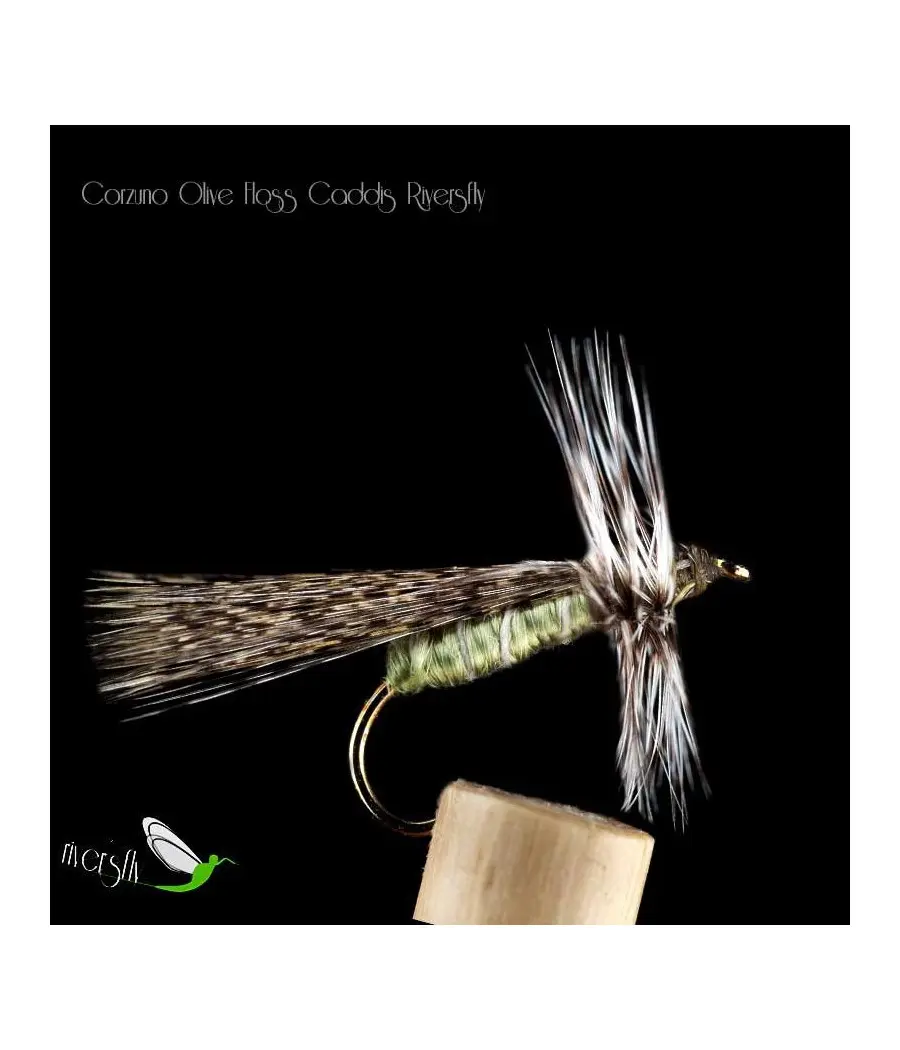 Sedge Soie Olive Corzuno