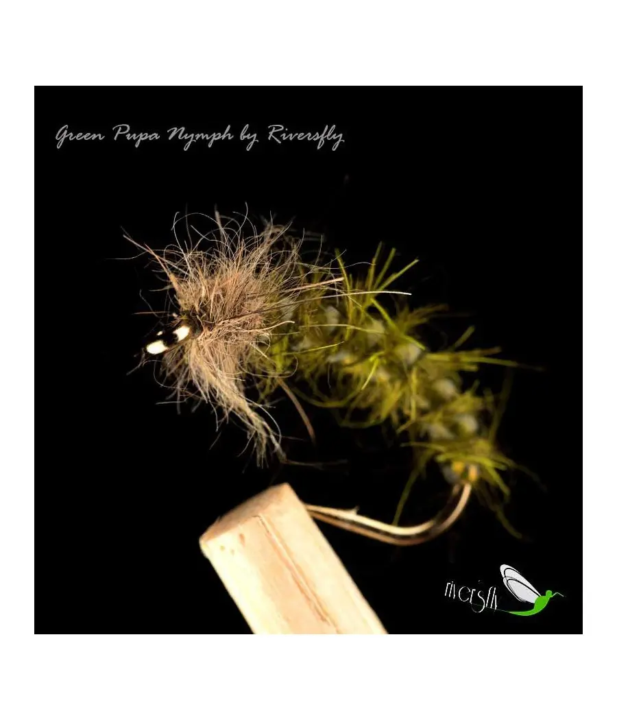 Nymphe Pupa Vert
