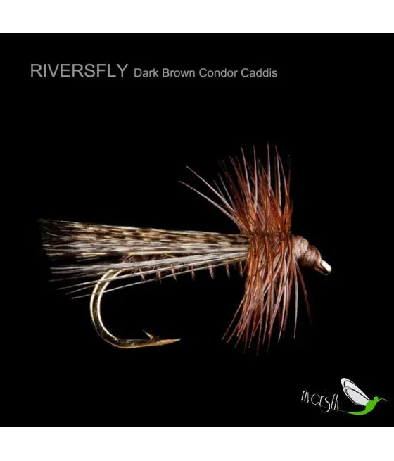 Seddge Condor Brun Foncé