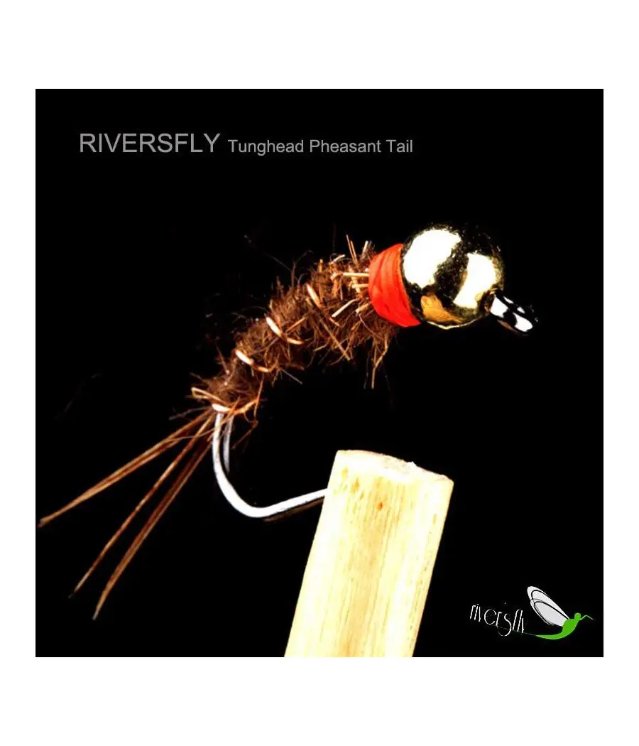 Nymphe Pheasant Tail Tunghead