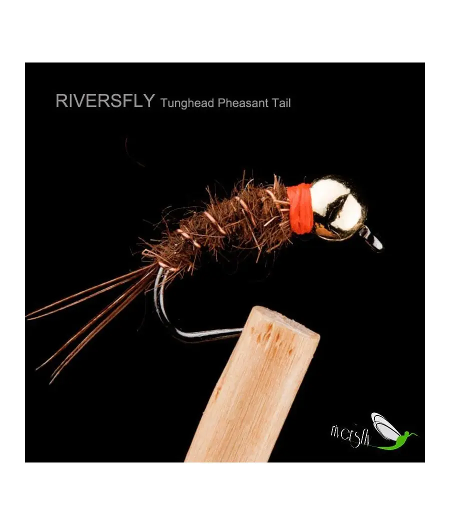 Nymphe Pheasant Tail Tunghead
