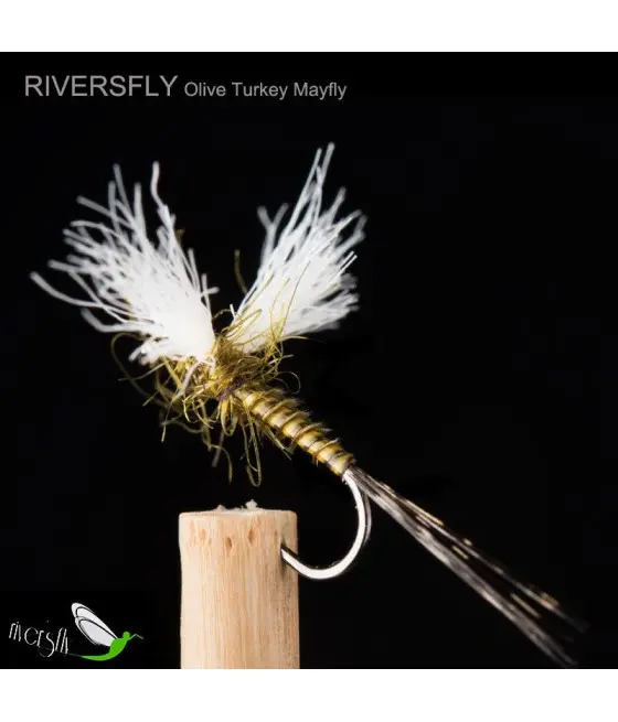 Éphémère Turkey Olive Éphémère Turkey Olive