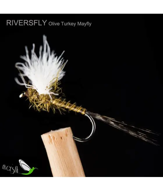 Éphémère Turkey Olive Éphémère Turkey Olive