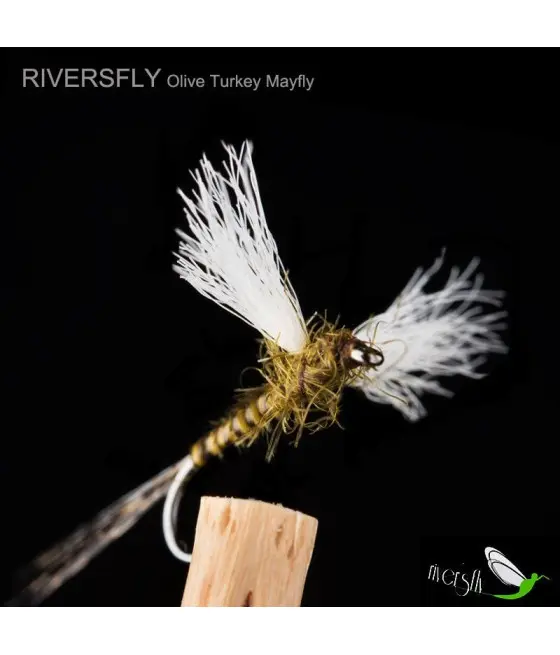 Éphémère Turkey Olive Éphémère Turkey Olive