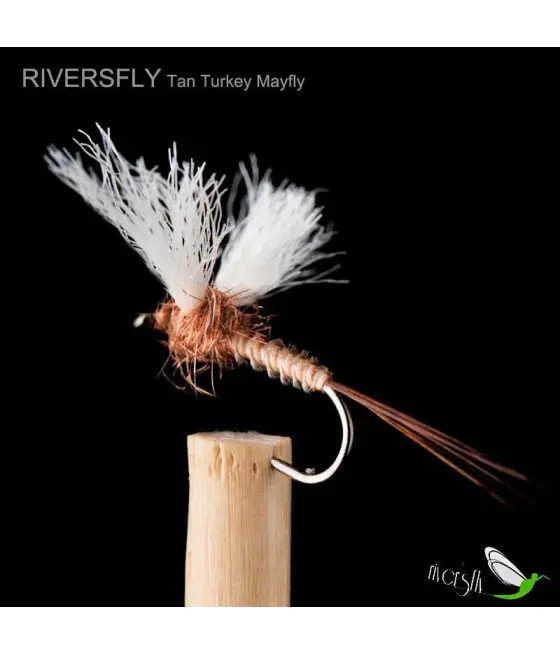 Éphémère Turkey Tan