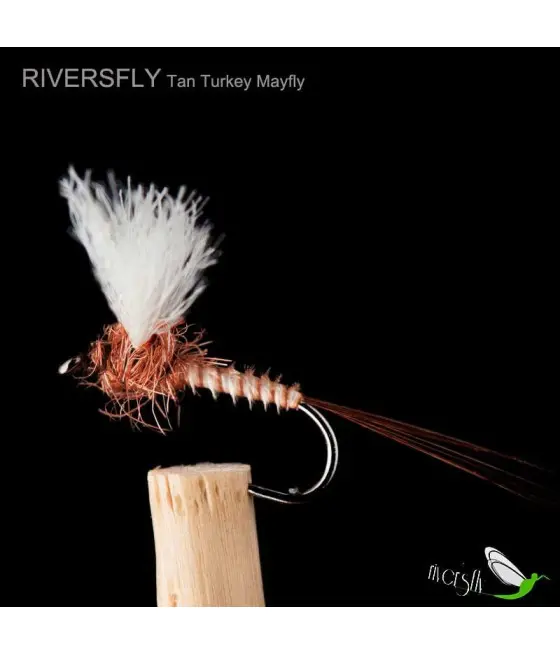 Éphémère Turkey Tan