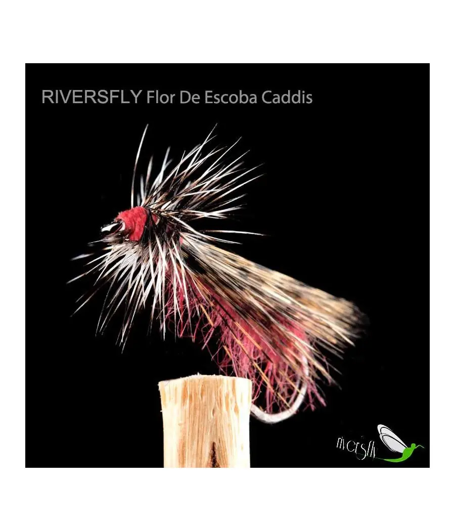 Tricóptero Flor De Escoba