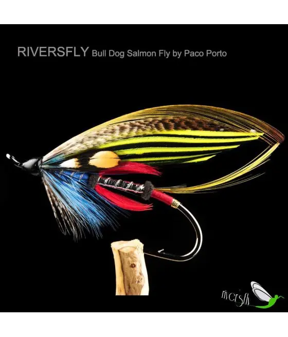Bull Dog Salmon Fly by Paco Porto