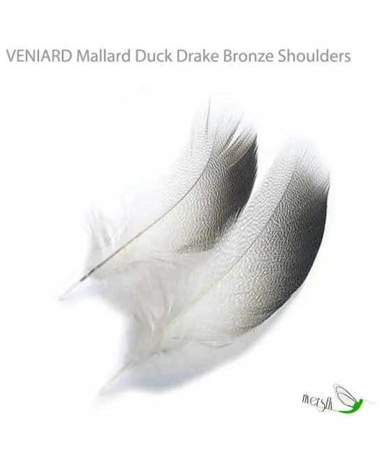 Plumes Mallard Duck Drake Shoulders Bronze de Veniard
