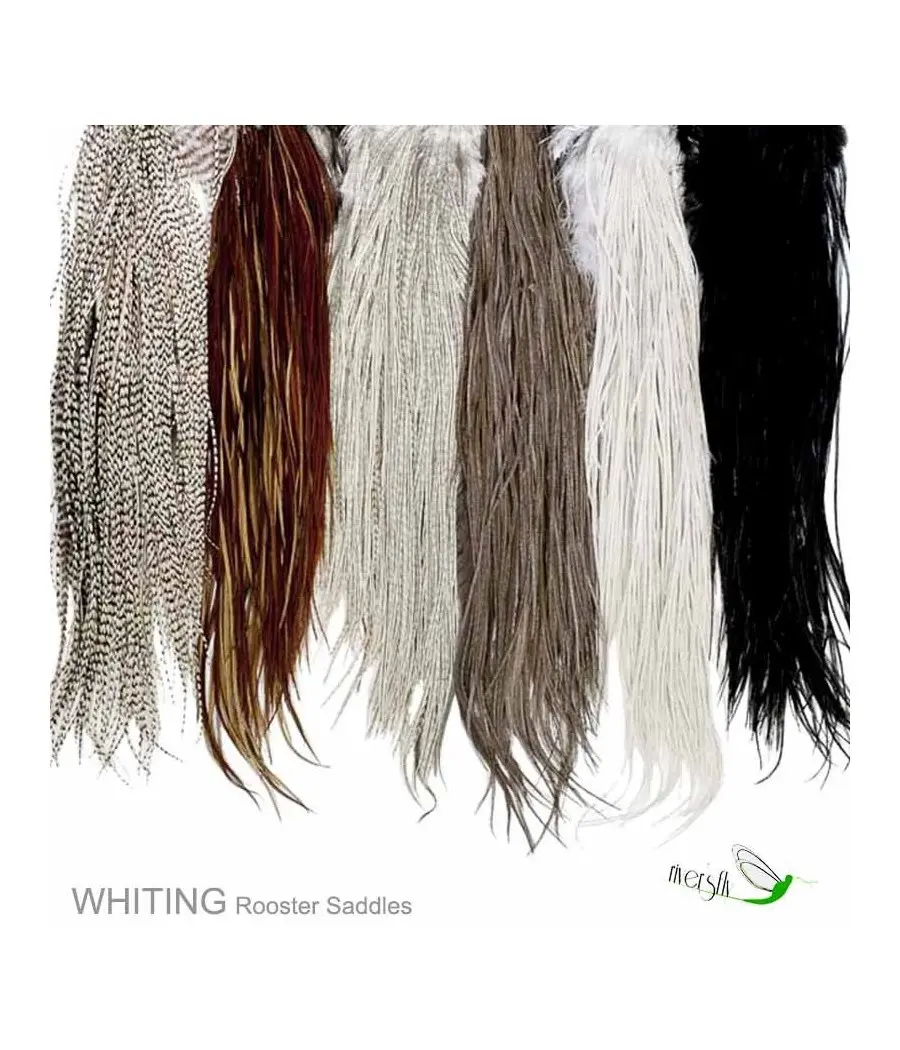 Whiting Rooster Saddles