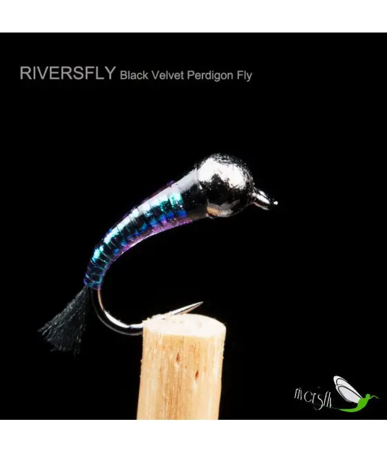 Black Velvet Perdigon Nimph