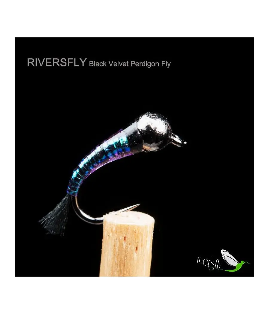 Nimphe Perdigon Black Velvet