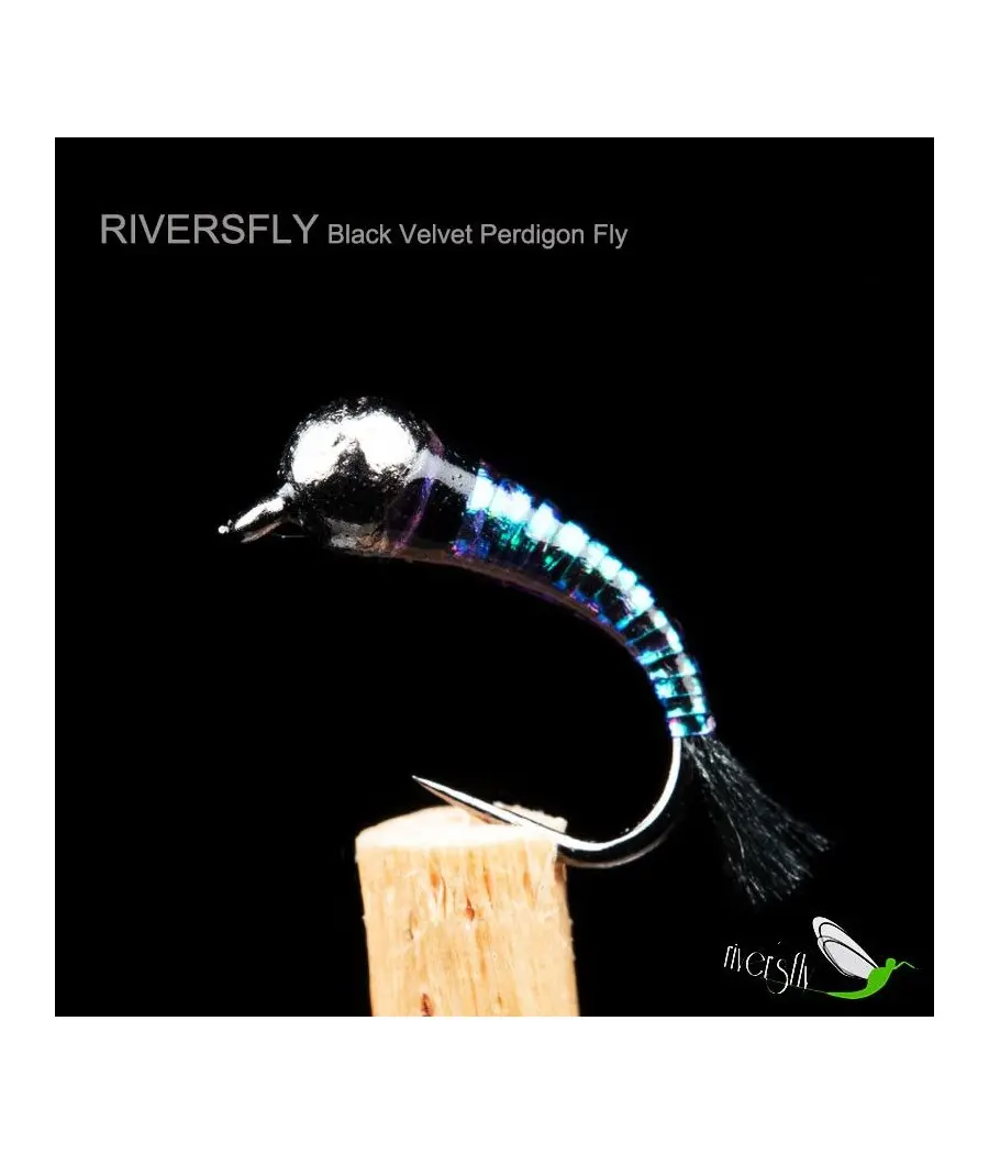 Nimphe Perdigon Black Velvet