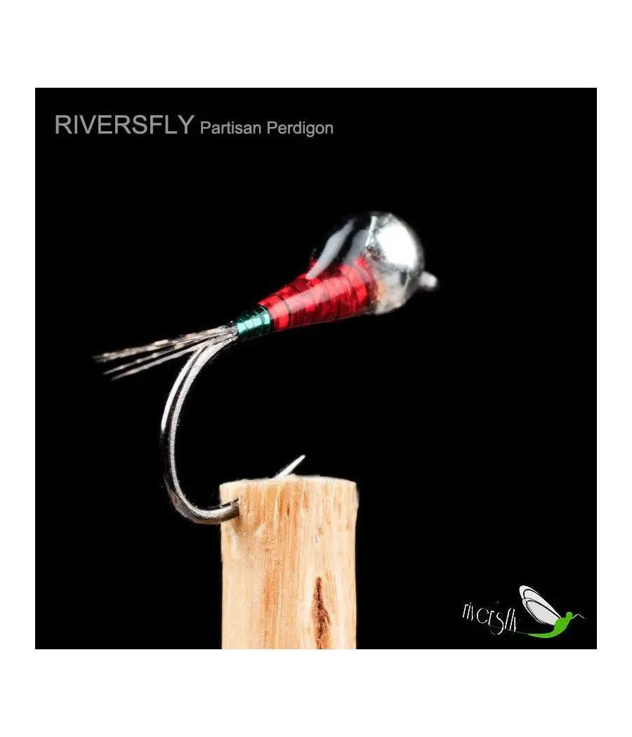 Ninfa Perdigón Partisan