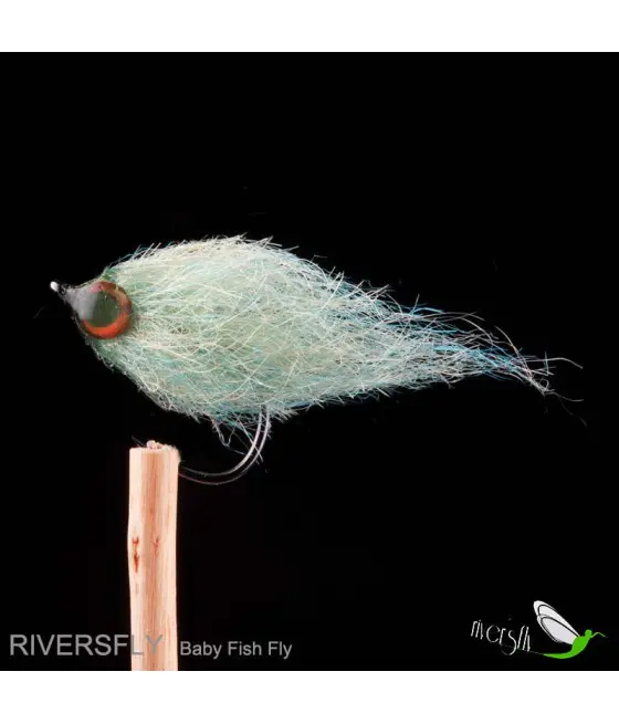 Mosca Baby Fish