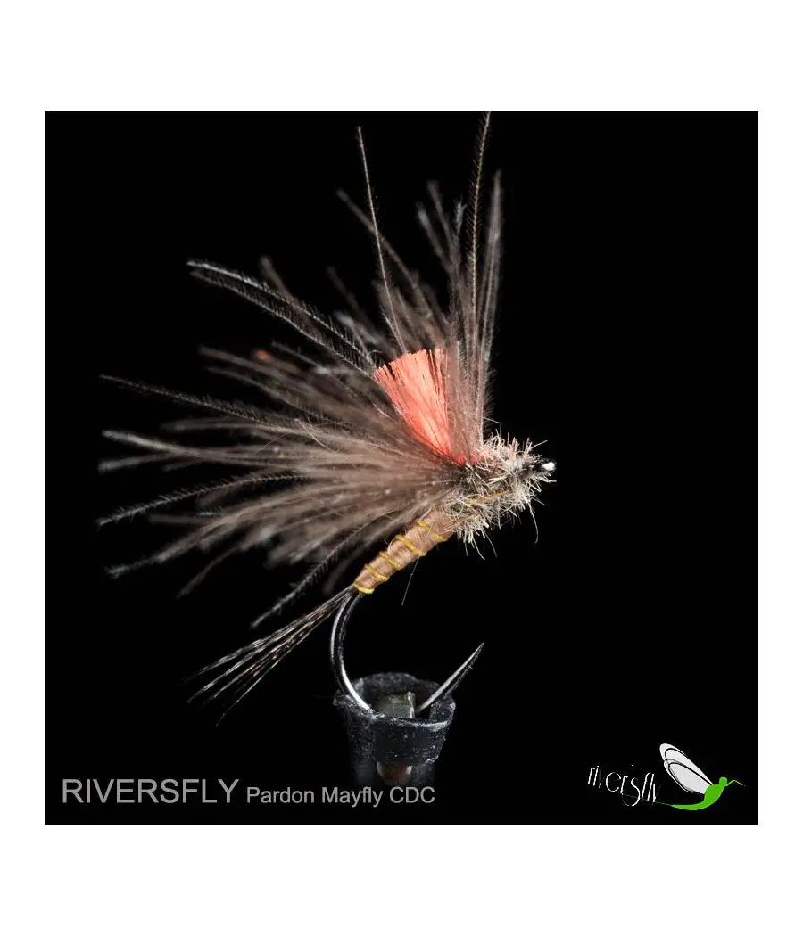 Éphémère Pardon CDC by Riversfly