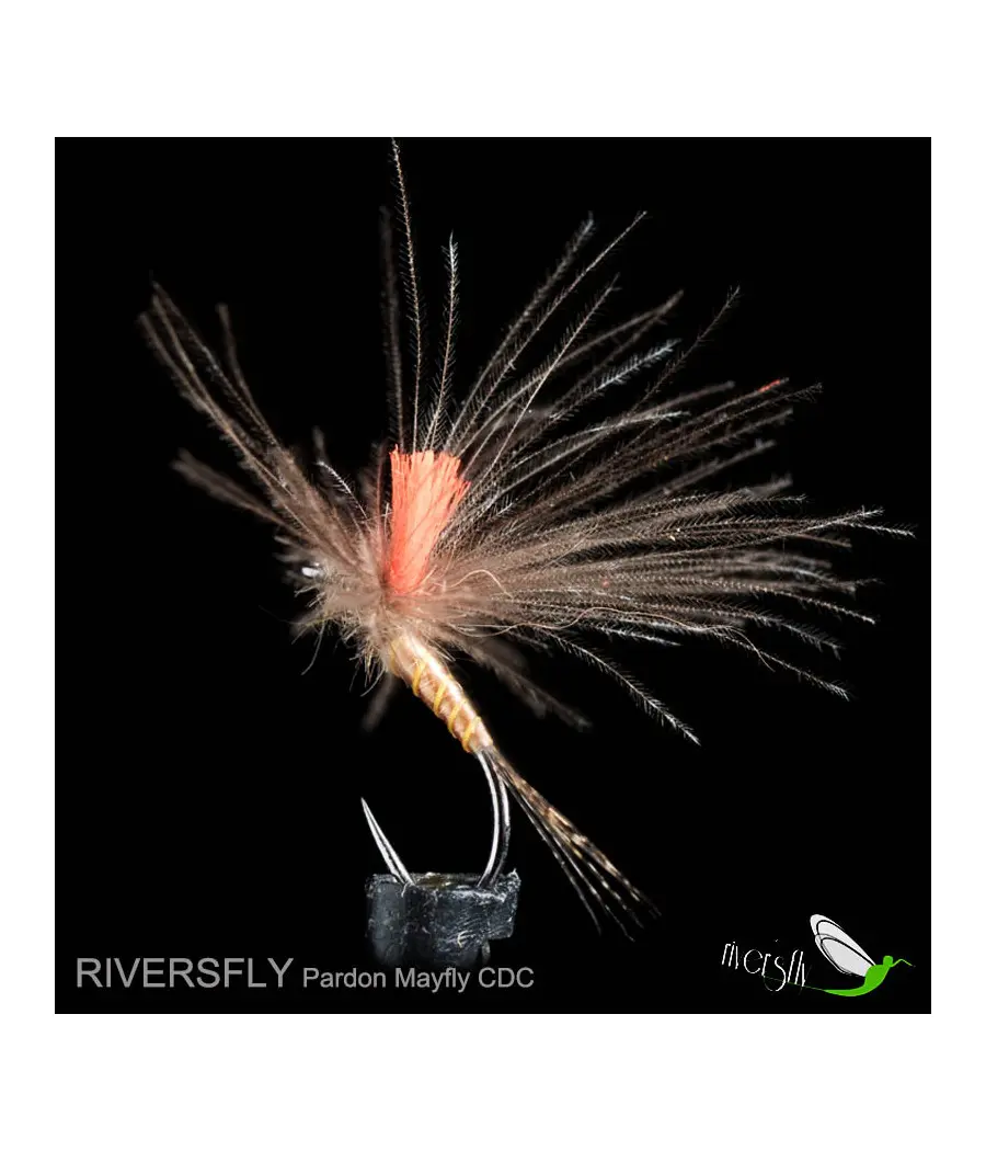 Éphémère Pardon CDC by Riversfly