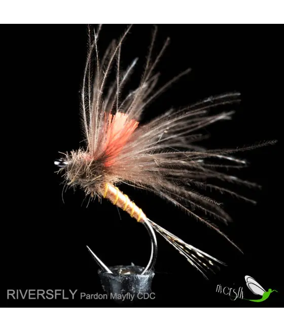Efemera Pardon CDC by Riversfly Efemera Pardon CDC by Riversfly