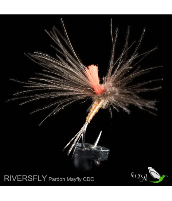 Éphémère Pardon CDC by Riversfly