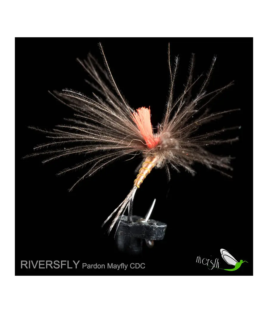 Efemera Pardon CDC by Riversfly