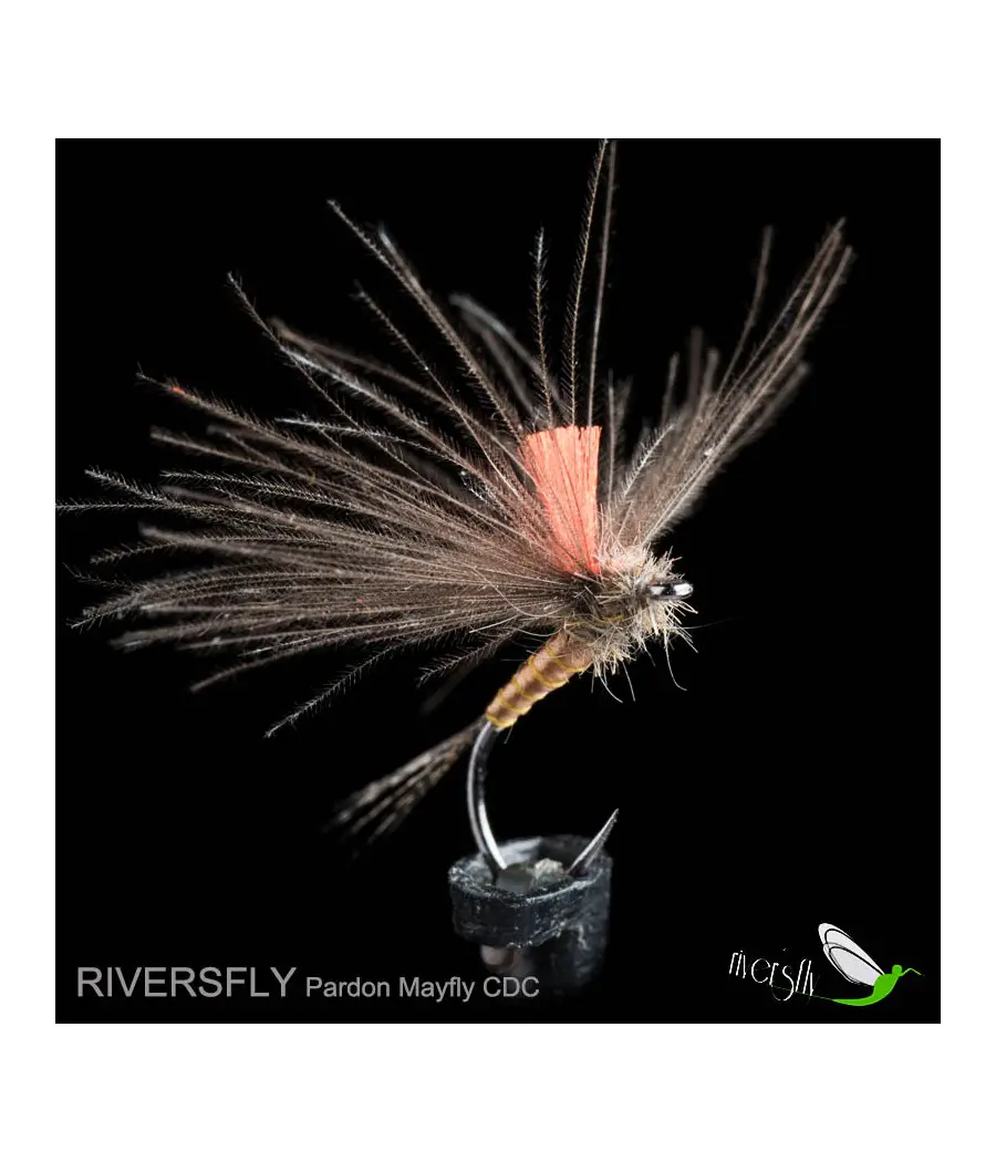 Éphémère Pardon CDC by Riversfly