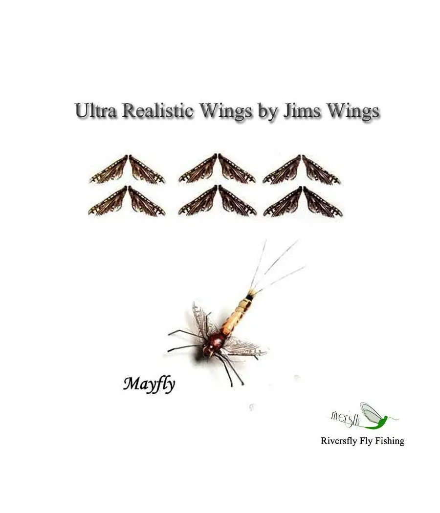 Ailes Ultra Réalistes Jims Wings