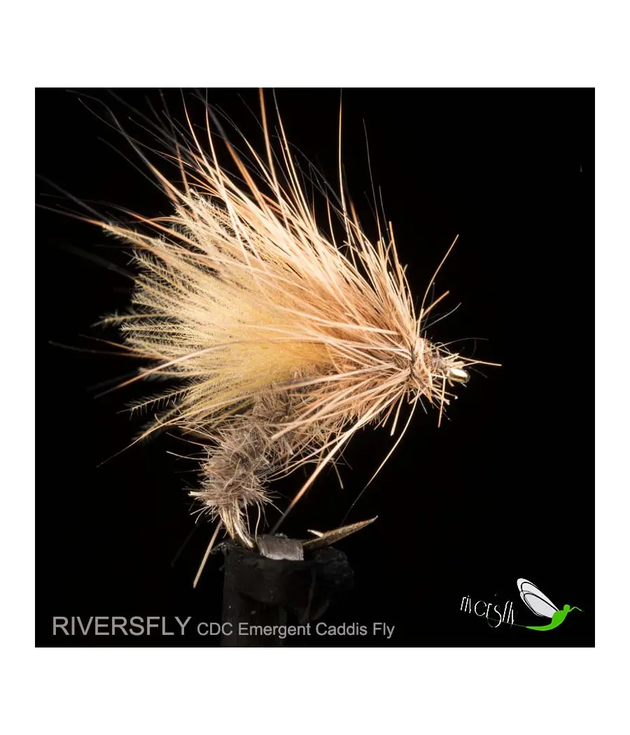 Mouche Émergent Sedge CDC
