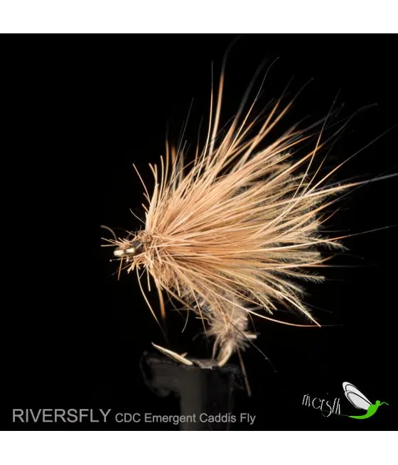 Mouche Émergent Sedge CDC