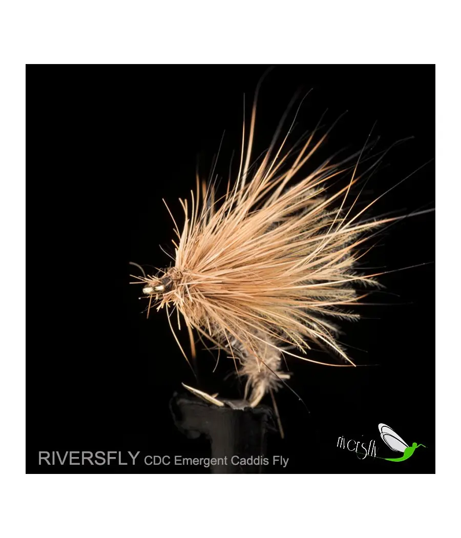 Mouche Émergent Sedge CDC