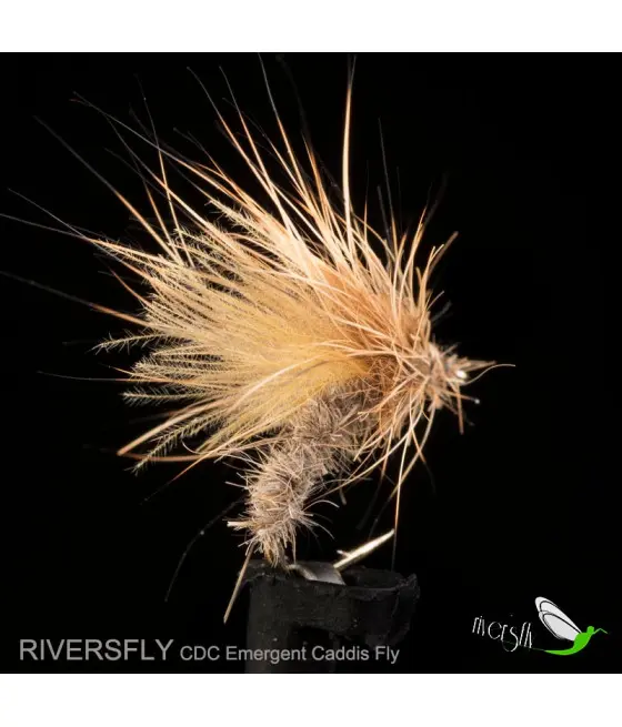 Mouche Émergent Sedge CDC