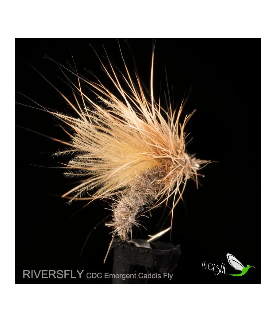 Mouche Émergent Sedge CDC
