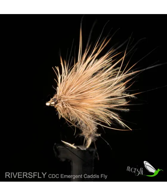 Mouche Émergent Sedge CDC