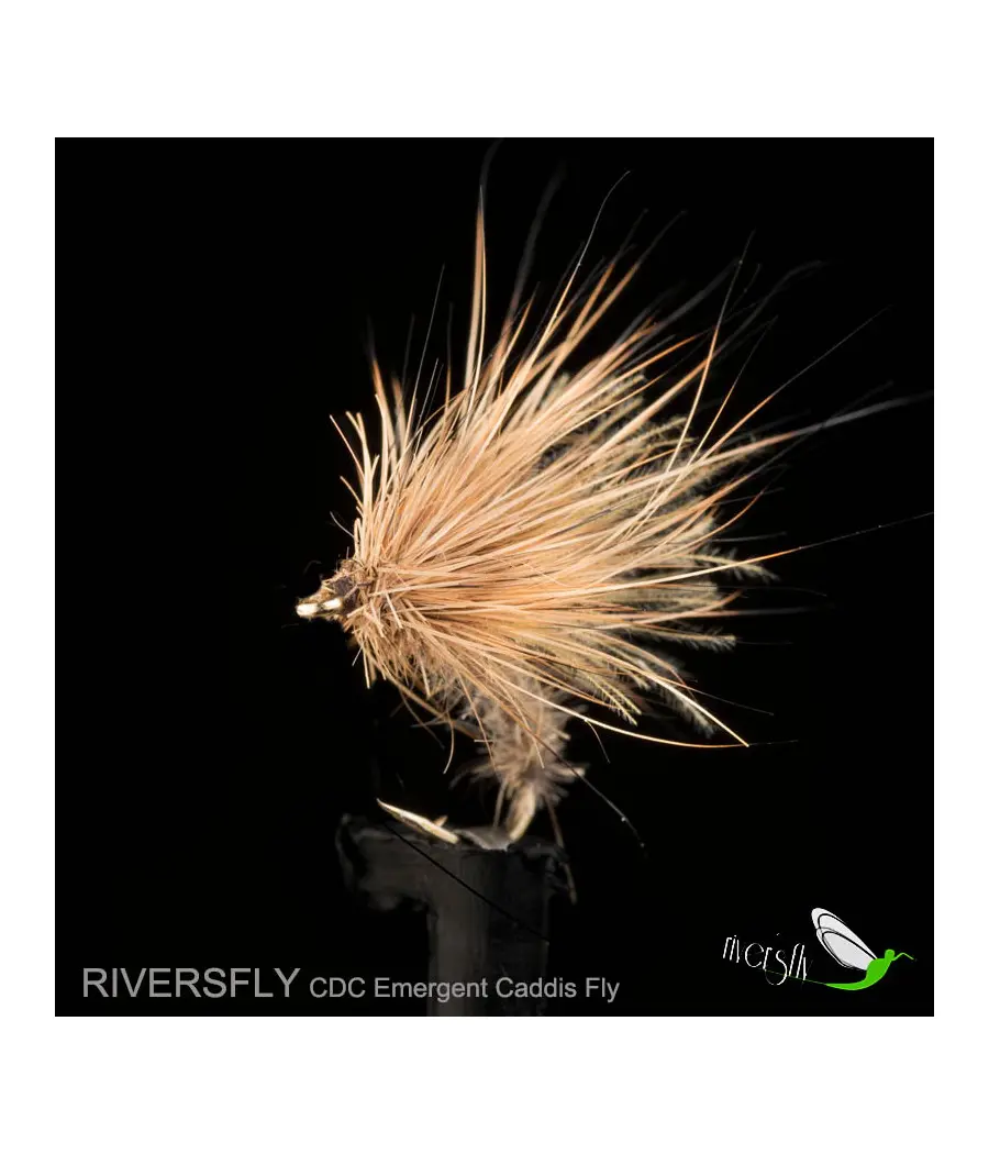 Mouche Émergent Sedge CDC
