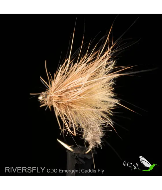 Mouche Émergent Sedge CDC