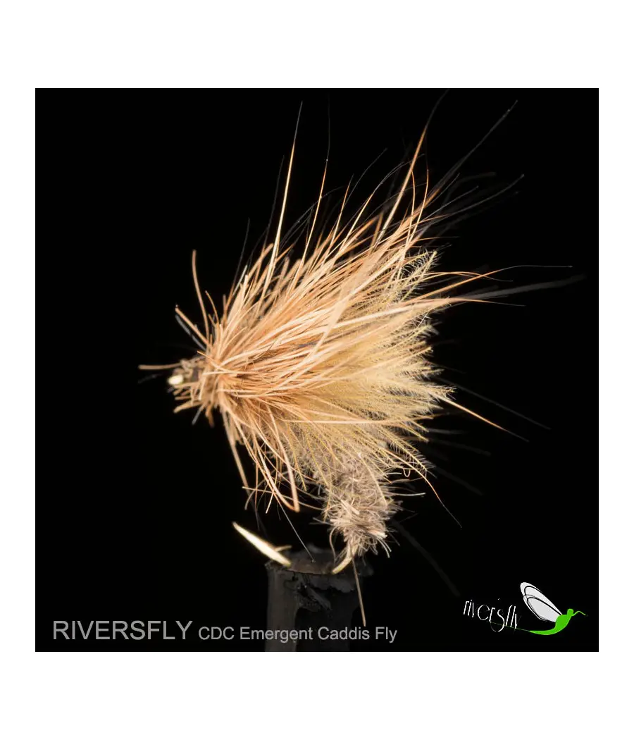 Mouche Émergent Sedge CDC